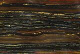 Polished Tiger Iron Stromatolite - Billion Years #129220-1